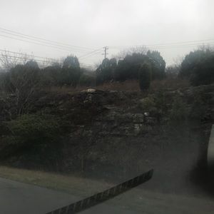 Meet your Posher, Silvia